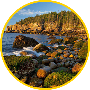 Acadia National Park