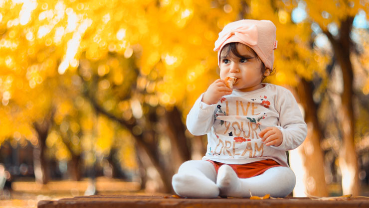 Image courtesy of Pexels Fall has arrived!