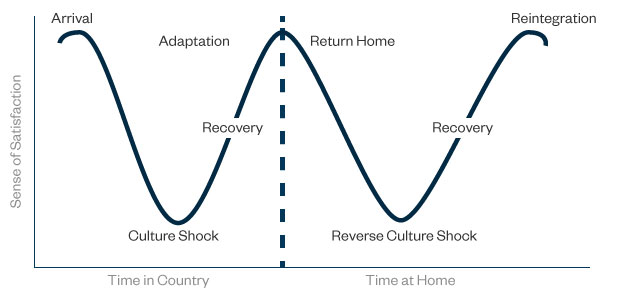 reverse-culture-shock-in-little-italy