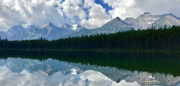 Work & Travel Canada Young Professional