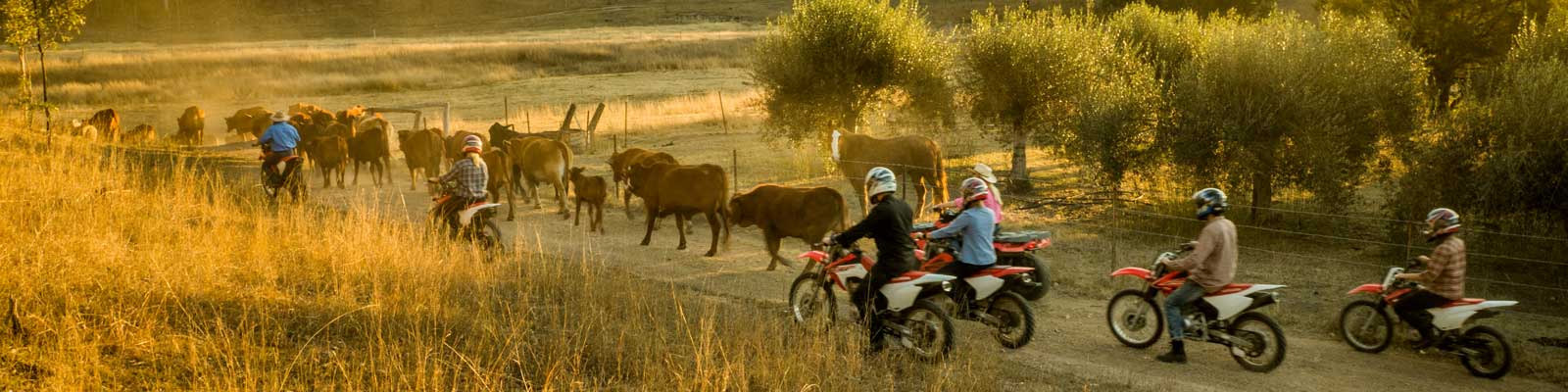 Work & Travel Australia Outback