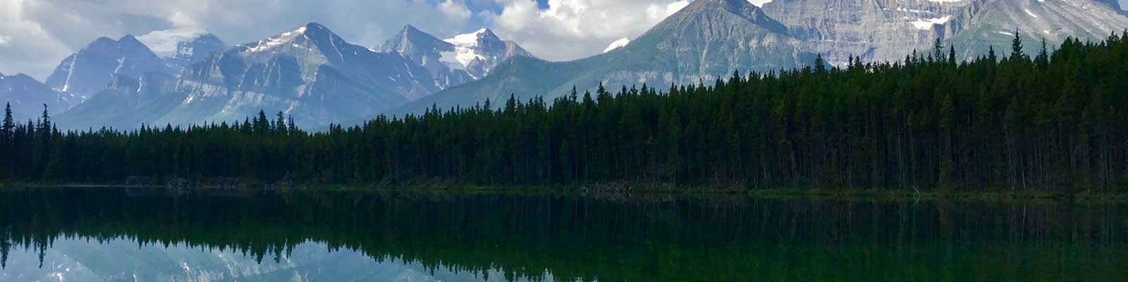 Work & Travel Canada Young Professional