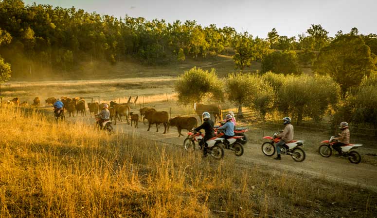 Work & Travel Australia Outback