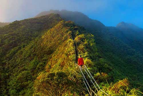 Sustainable Action Costa Rica