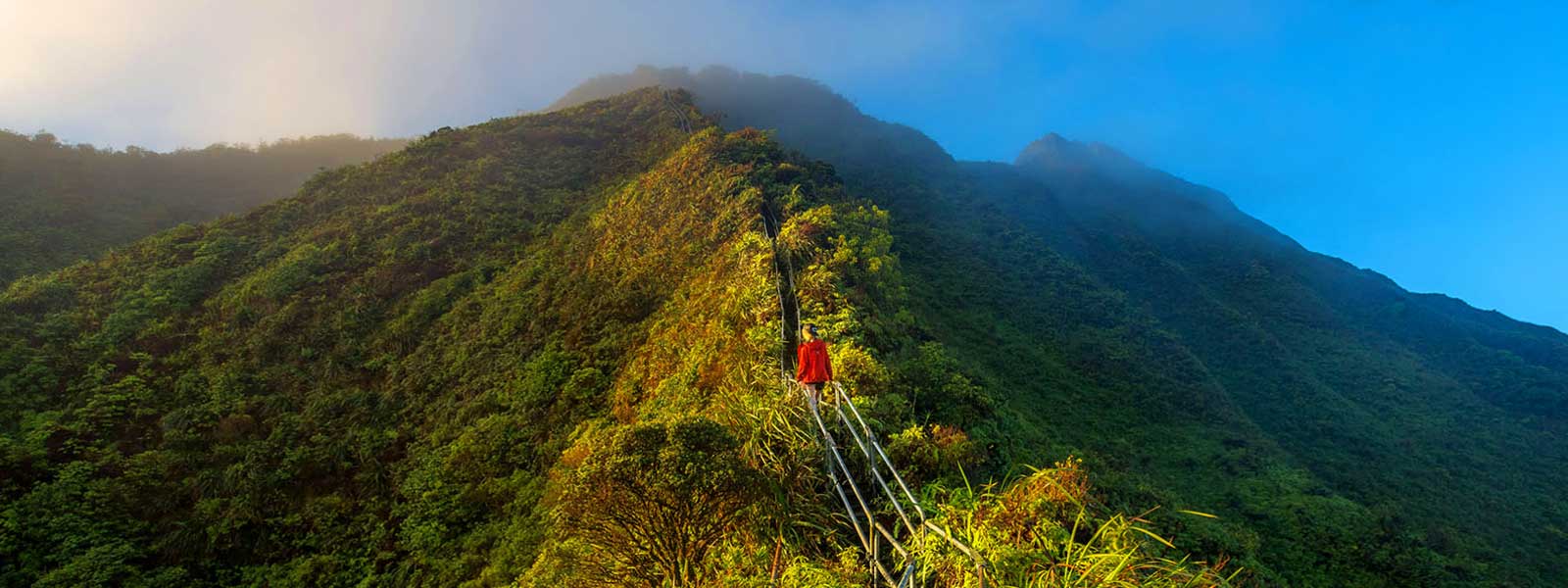 Sustainble Action Costa Rica